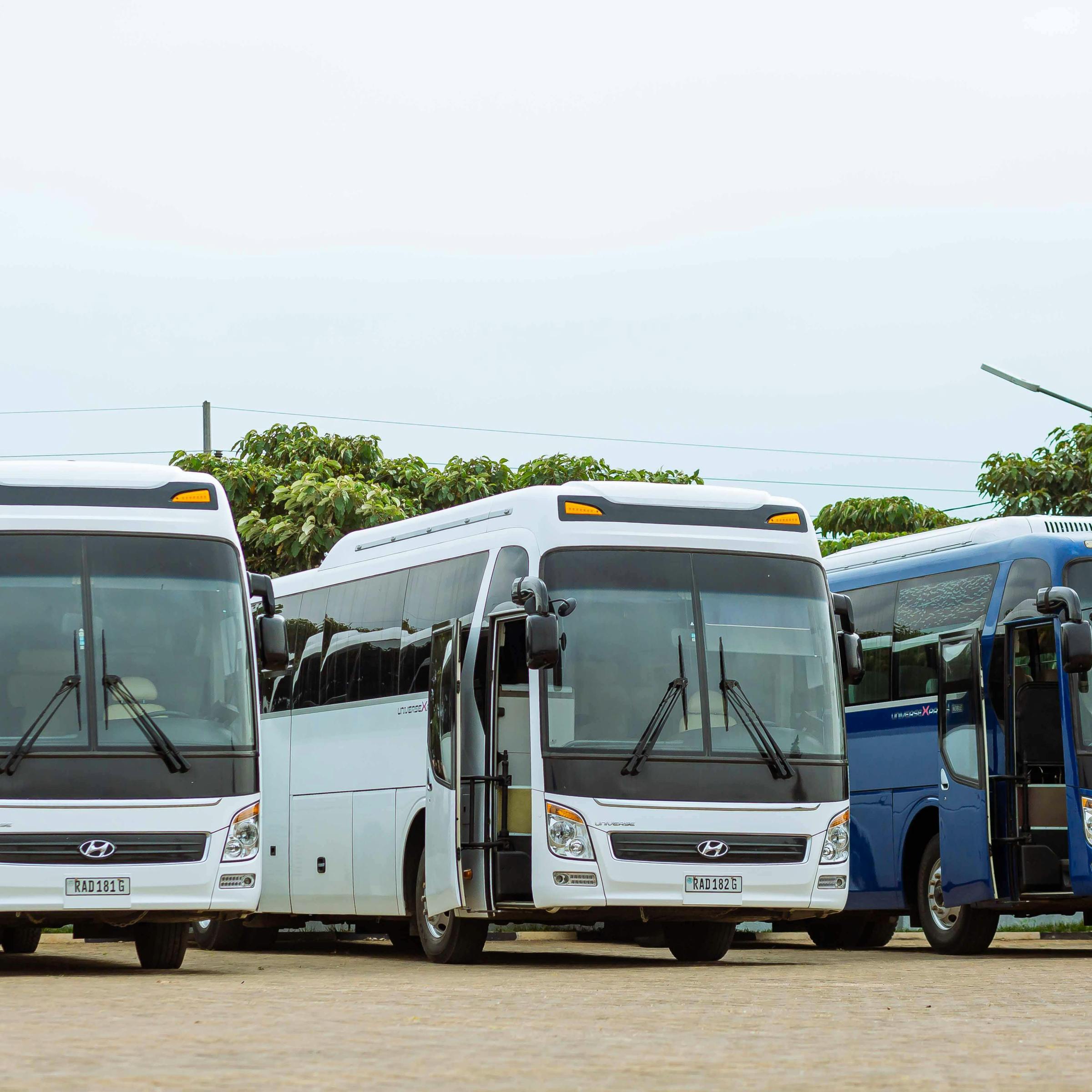 Three parked buses; two white, one blue, lined up side by side.