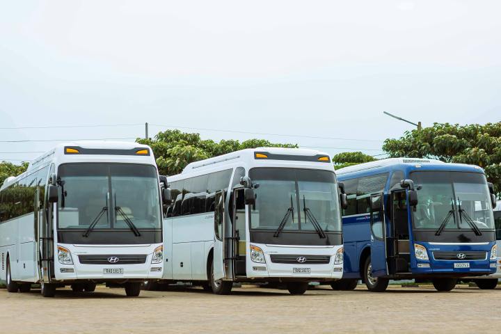 Three parked buses; two white, one blue, lined up side by side.
